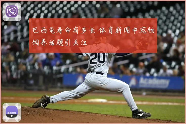 巴西龟寿命有多长 体育新闻中宠物饲养话题引关注