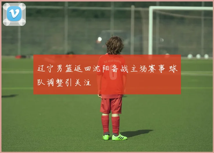 辽宁男篮返回沈阳备战主场赛事 球队调整引关注