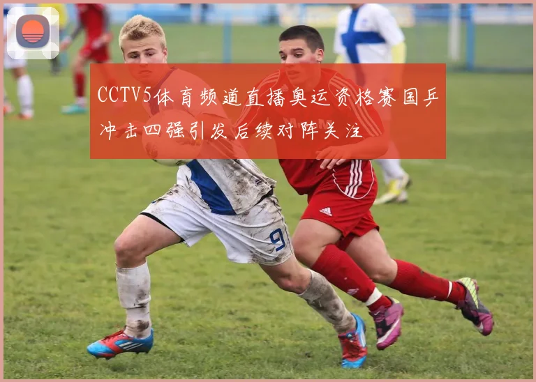 CCTV5体育频道直播奥运资格赛国乒冲击四强引发后续对阵关注