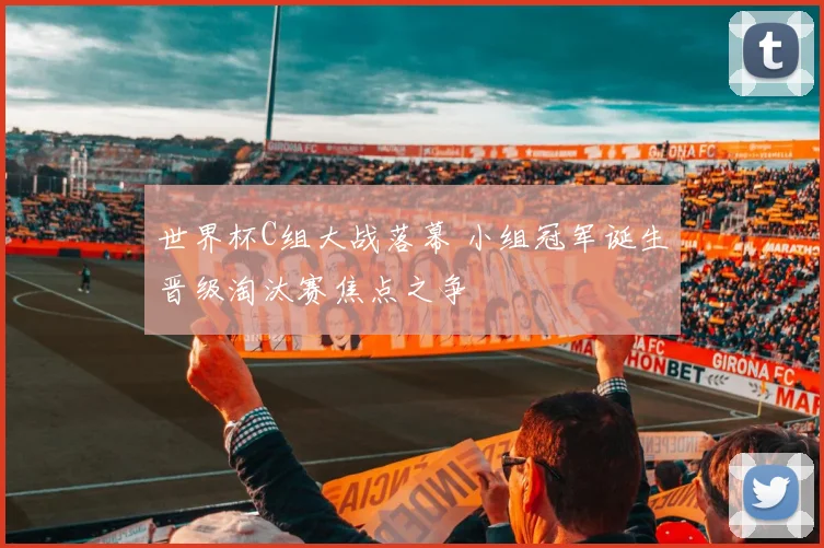世界杯C组大战落幕 小组冠军诞生晋级淘汰赛焦点之争