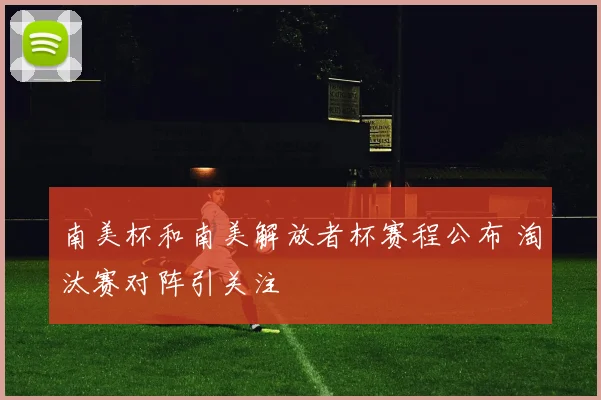 南美杯和南美解放者杯赛程公布 淘汰赛对阵引关注