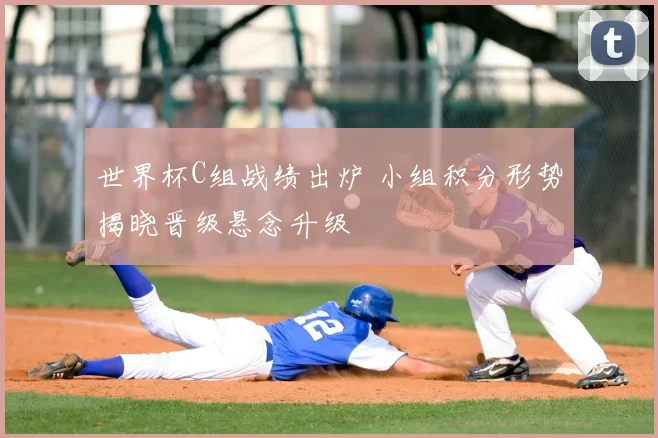 世界杯C组战绩出炉 小组积分形势揭晓晋级悬念升级