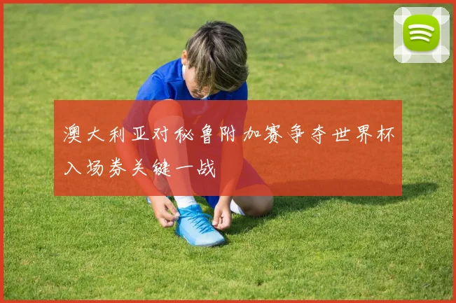 澳大利亚对秘鲁附加赛争夺世界杯入场券关键一战