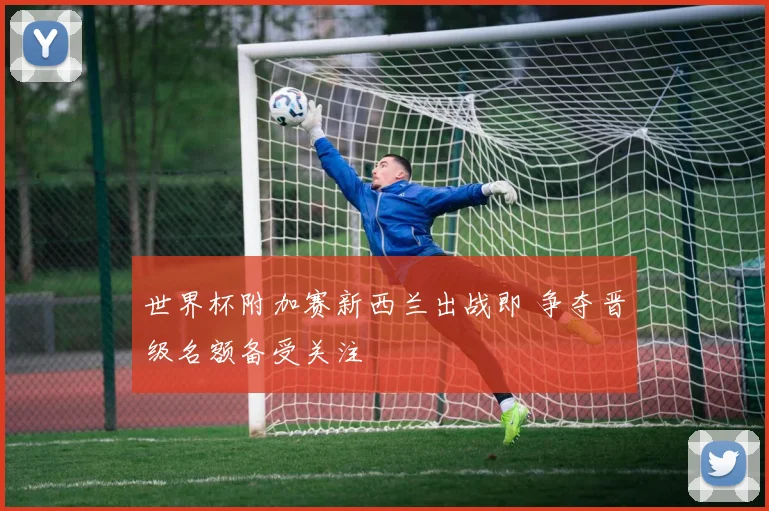 世界杯附加赛新西兰出战即 争夺晋级名额备受关注