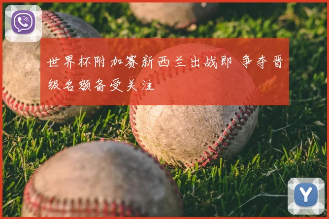 世界杯附加赛新西兰出战即 争夺晋级名额备受关注